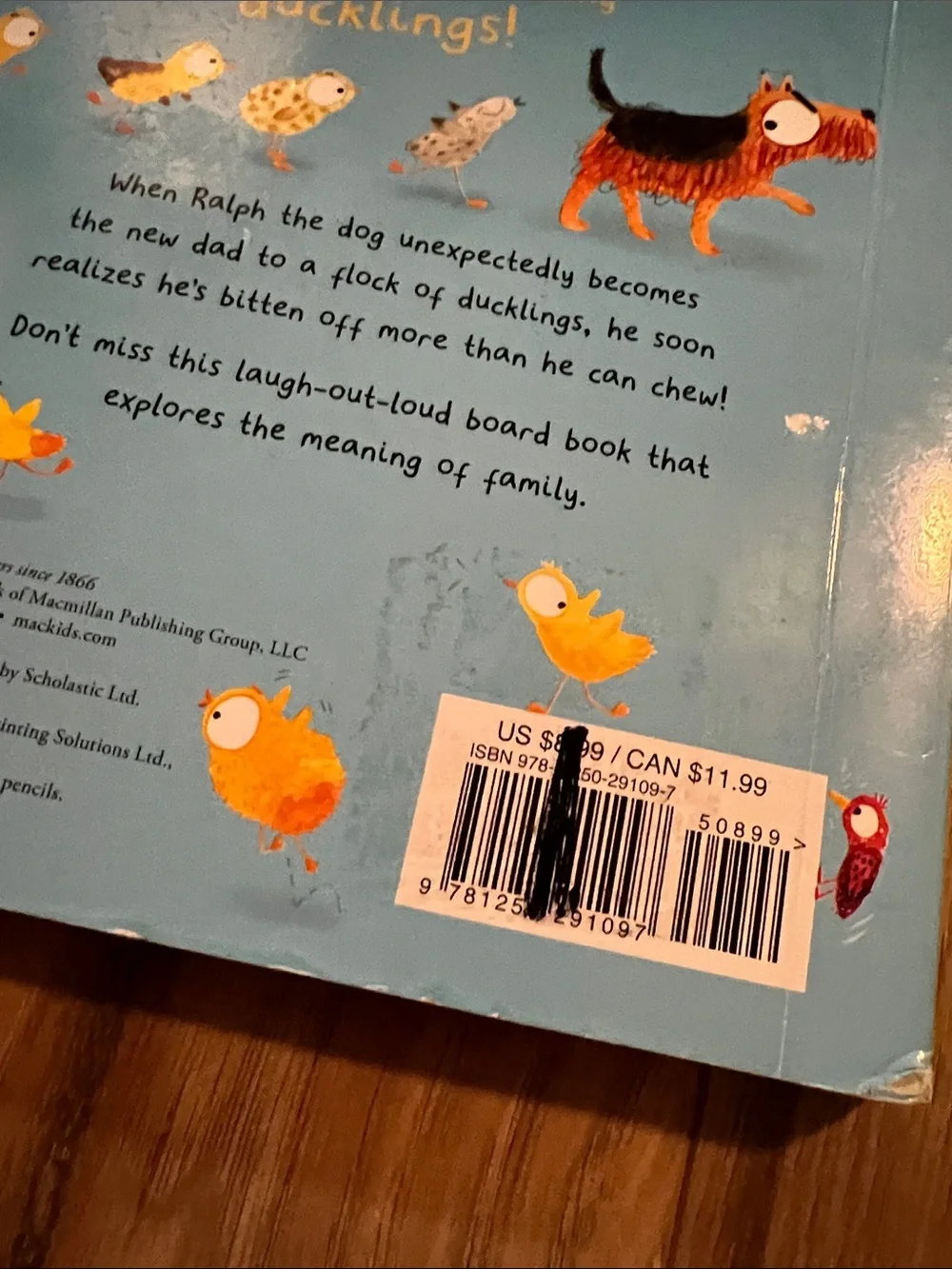 Duck, Duck, Dad? Board Book - Blue